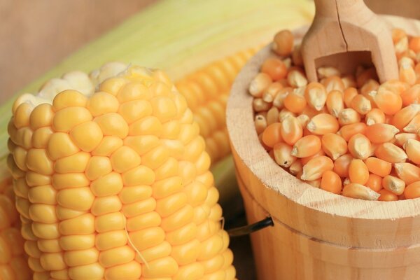 每天吃玉米真的可以减肥吗？答案让人跌破眼镜